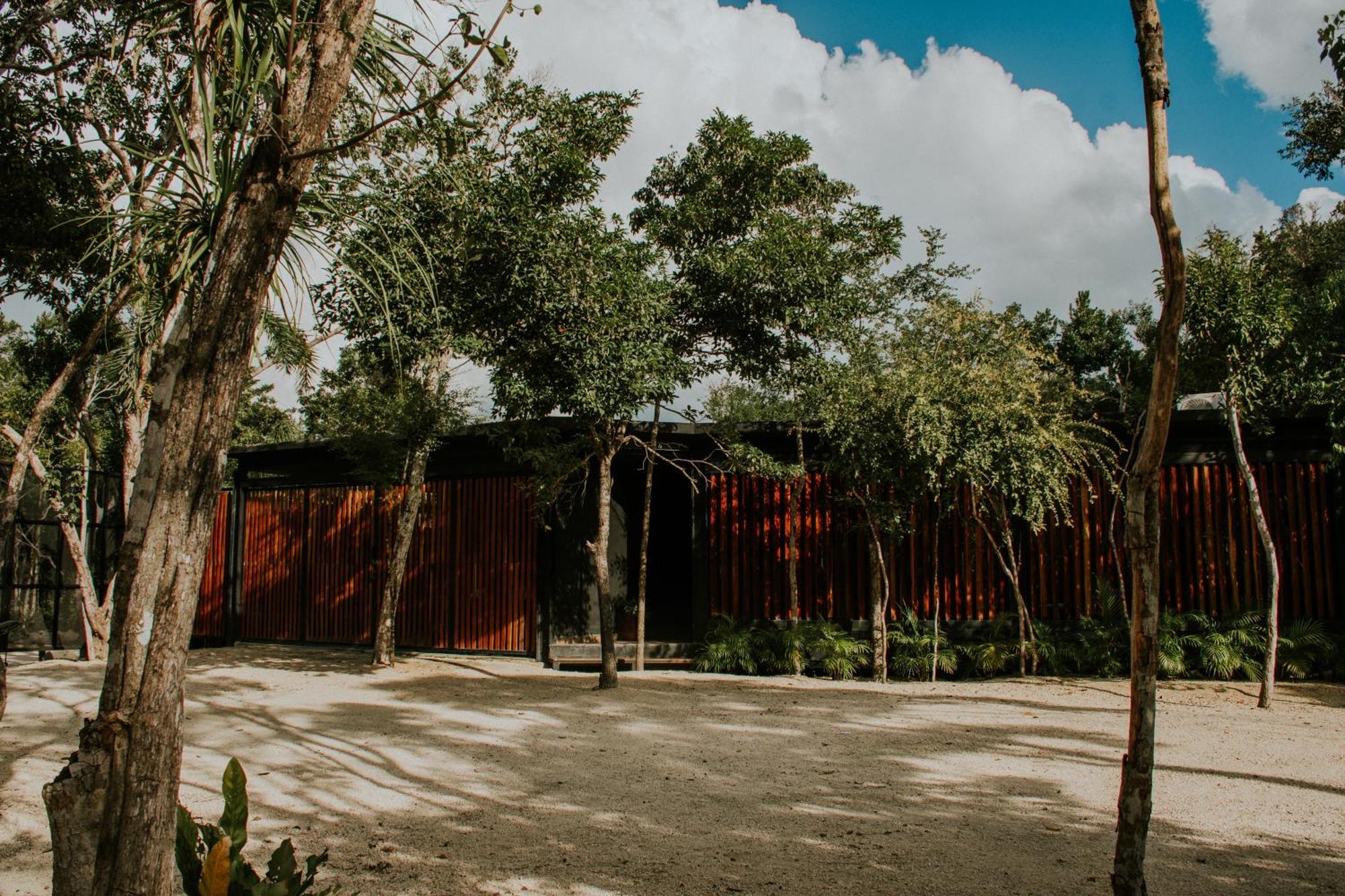 Balcheil K Naj Community Cenote Residence מראה חיצוני תמונה